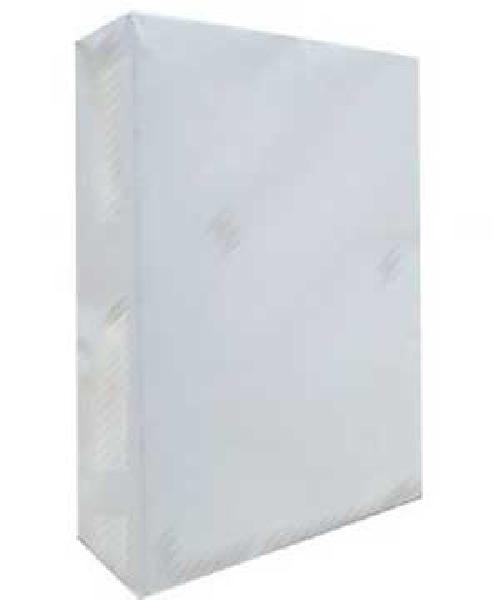 GIẤY FORD TRẮNG (LHP-GILMAN) A3/80 Mã số: TPPF06T00100