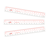 Thước kẻ SR-022